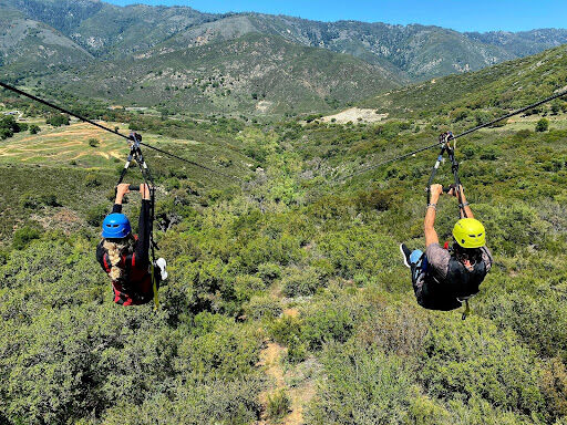 Flying High and Racing Friends: My Thrilling Day at Zip Zoom Ziplines
